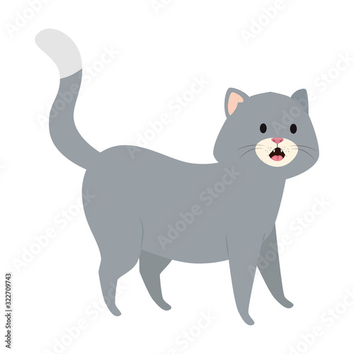 cute little cat animal icon vector illustration design