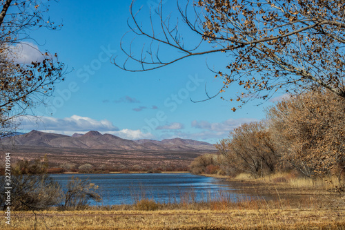 Mountains and trees surrounding a lake