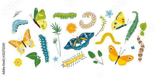 Set spring and summer colorful butterflies and caterpillar. Different cute silhouettes on white background. For festive card  logo  children  pattern  tattoo  decorative  concept. Vector illustration