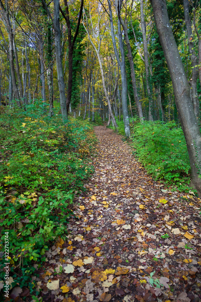 Autumn in Samoborsko gorje, Croatia Autumn in Samoborsko gorje, Croatia