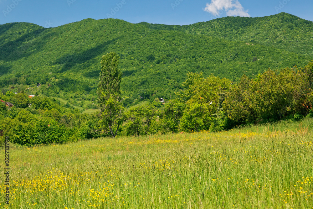 Meadows of the Samoborsko gorje foothill, Croatia