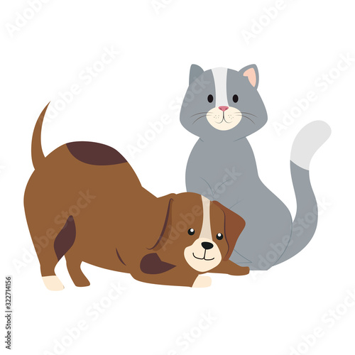 cute cat and dog animals isolated icon vector illustration design