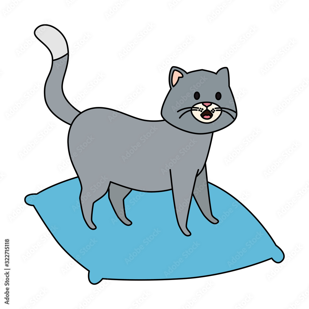 cute little cat in cushion isolated icon vector illustration design cute little cat in cushion isolated icon vector illustration design