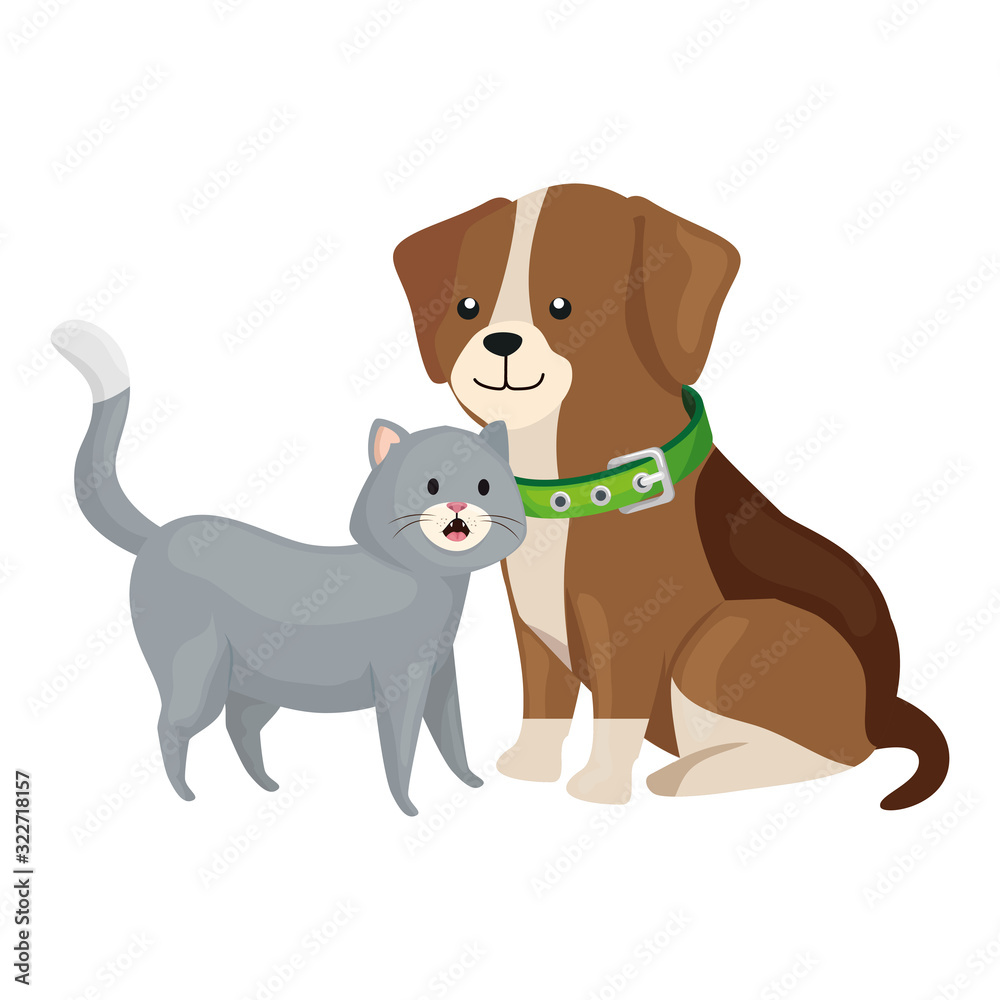 cute cat and dog animals isolated icon vector illustration design cute cat and dog animals isolated icon vector illustration design