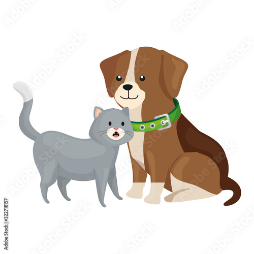 cute cat and dog animals isolated icon vector illustration design