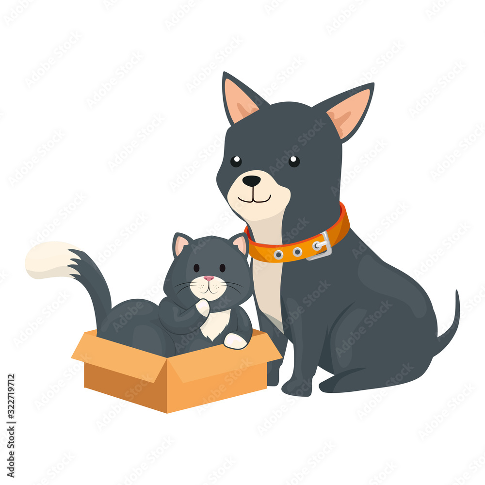 cute dog with cat in box carton vector illustration design cute dog with cat in box carton vector illustration design