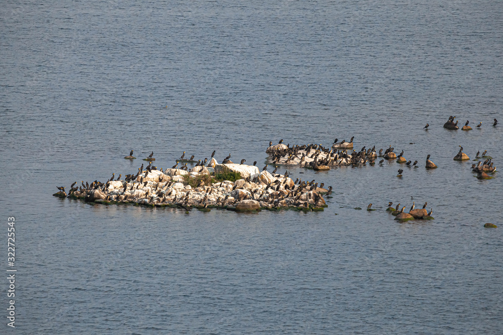Bird Islands. Sweden sea coast landscape. Stylized photos with added noise Bird Islands. Sweden sea coast landscape. Stylized photos with added noise