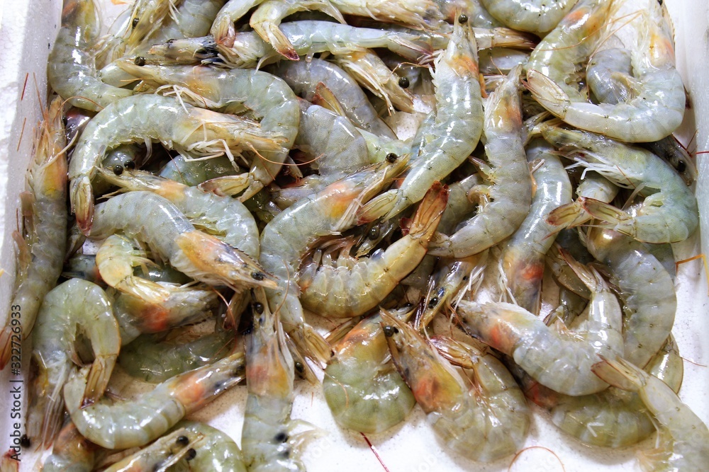 Stall with shrimps in fish market in Athens, Greece Stall with shrimps in fish market in Athens, Greece