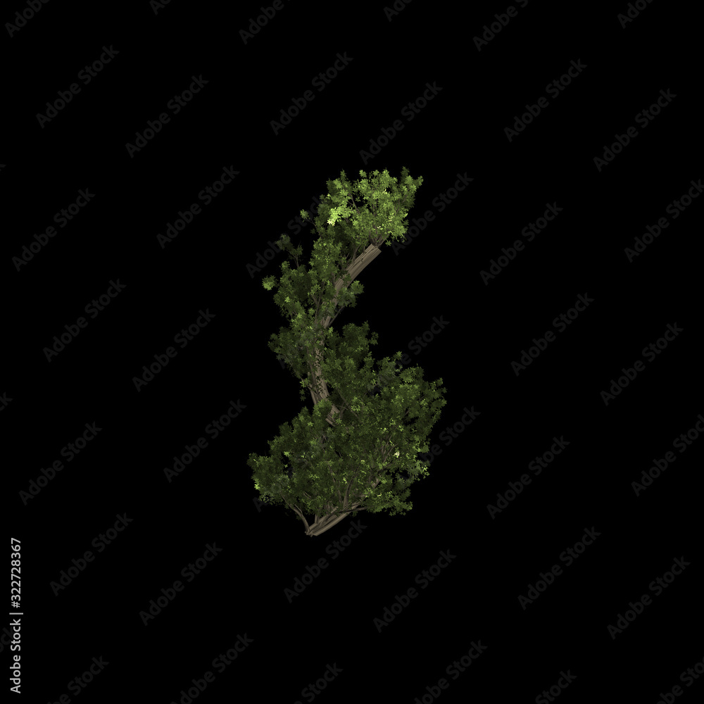 Tree graphic botanic leaf Tree graphic botanic leaf