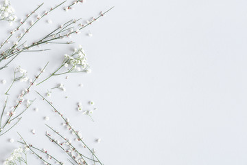 Flowers composition. White flowers on gray background. Spring concept. Flat lay, top view, copy space