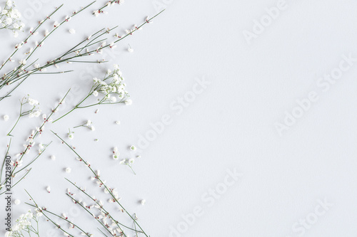Flowers composition. White flowers on gray background. Spring concept. Flat lay, top view, copy space
