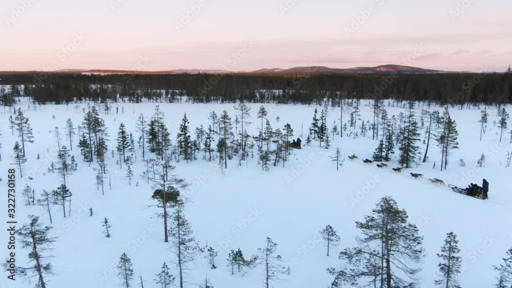 Sunset drone shot of two husky dog sleds riding through beautiful snow landscape in Lappland, Sweden