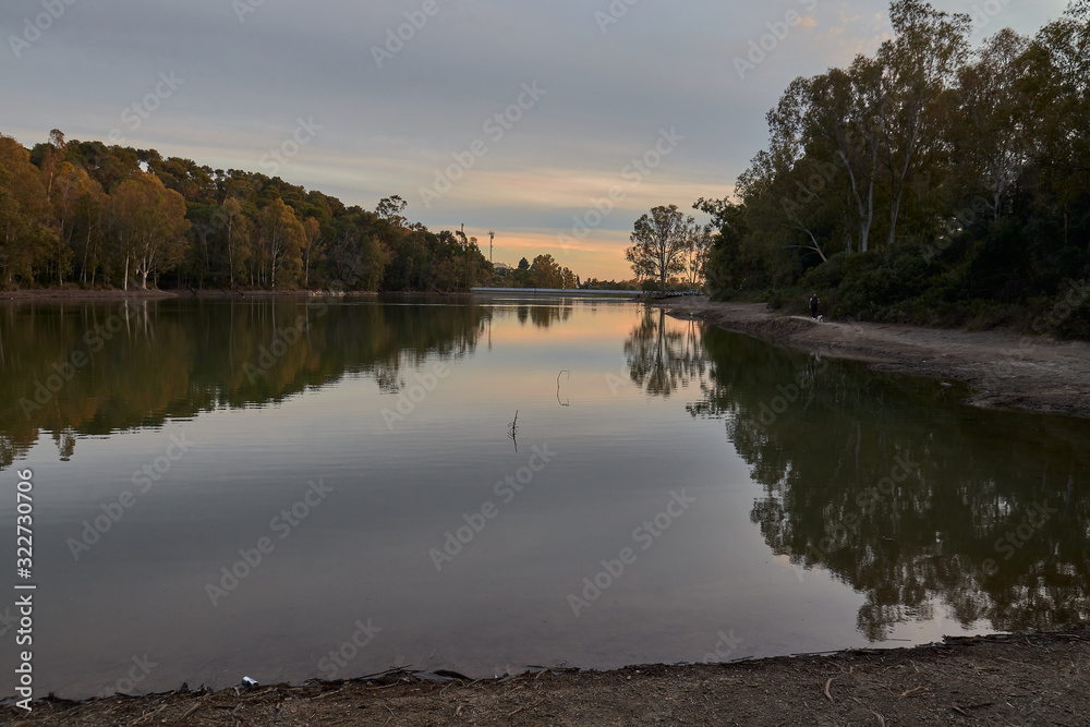 Obraz premium Sunset in a lake with eucalyptus trees with nice reflection in the water in Marbella Andalusia Spain