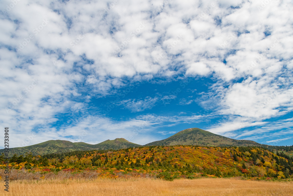 Fototapeta premium 秋の八甲田 大岳 井戸岳