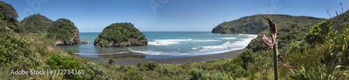 Bethells beach Auckland New Zealand Coast and beach. Panorama © A