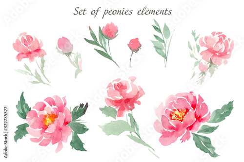 Set of watercolor elements of pink peonies, leaves and buds on an isolated white background. To create bouquets and compositions of cards, invitations, tags and other