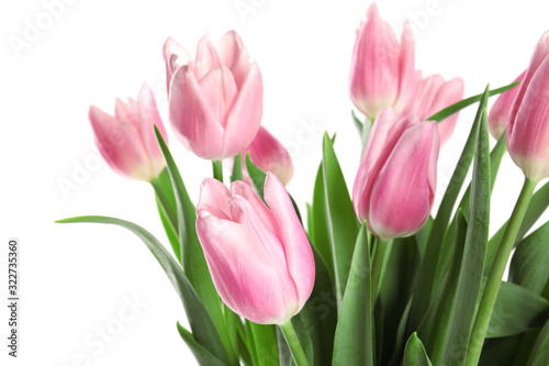 Beautiful pink spring tulips on white background  closeup