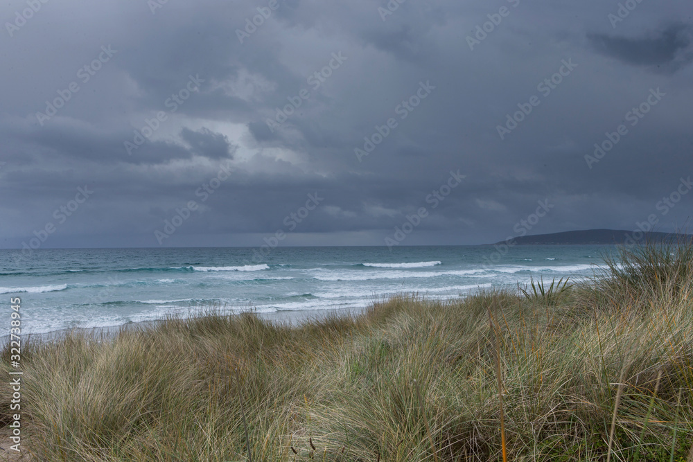 Coast and ocean near Palmerston. Highway 1. Beach and dunes Coast and ocean near Palmerston. Highway 1. Beach and dunes