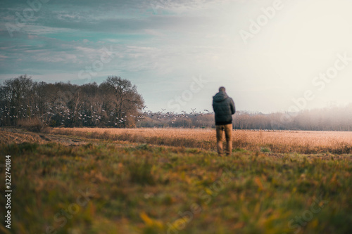 Une homme regarde des oiseaux au lever du soleil