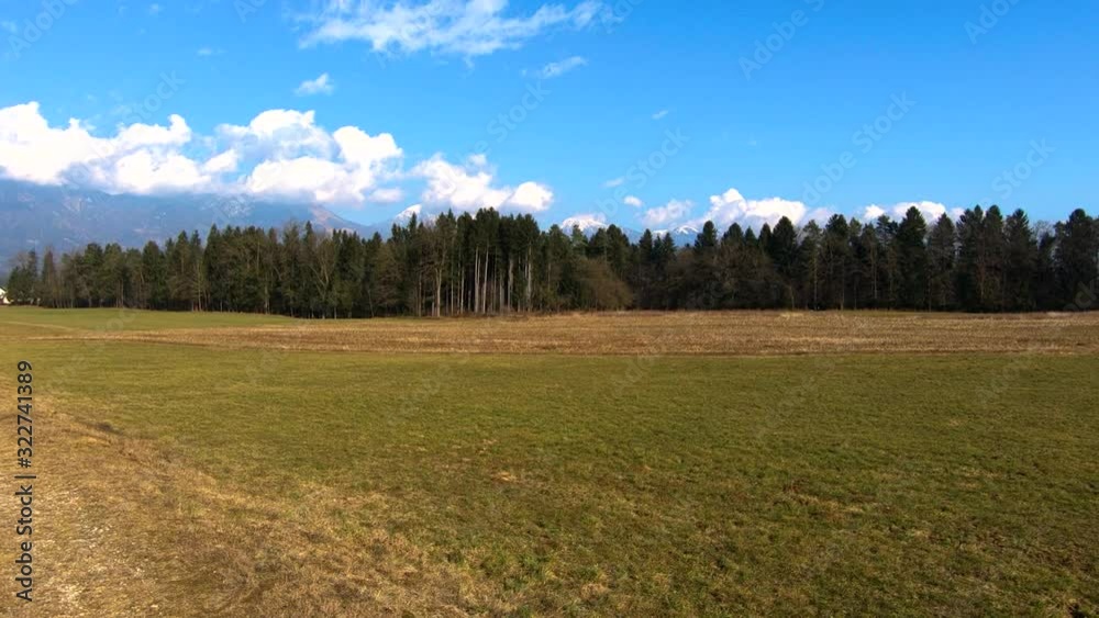 Forward dolly moving farming grass field with forest in background on sunny winter day without snow Forward dolly moving farming grass field with forest in background on sunny winter day without snow