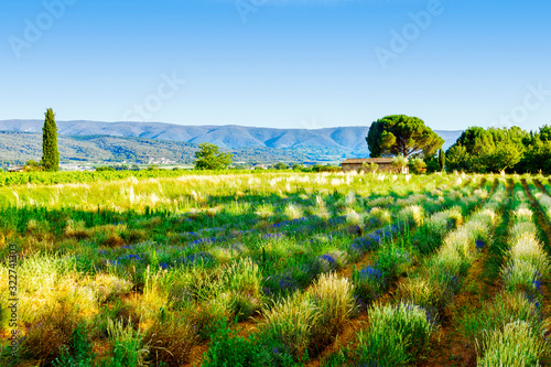 Landschaft bei Ville sur Auzon in der Provence