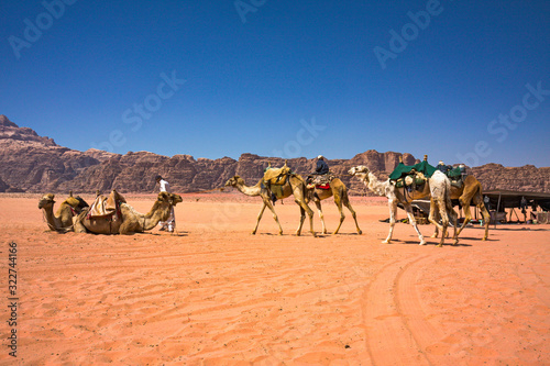 A group of Bedouins with their camels in the panorama of the rocky mountains and red sand in the Jordanian desert of Wadi Rum.