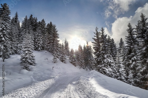 Winter view in a mountain forest covered with fresh snow. Christmas landscape