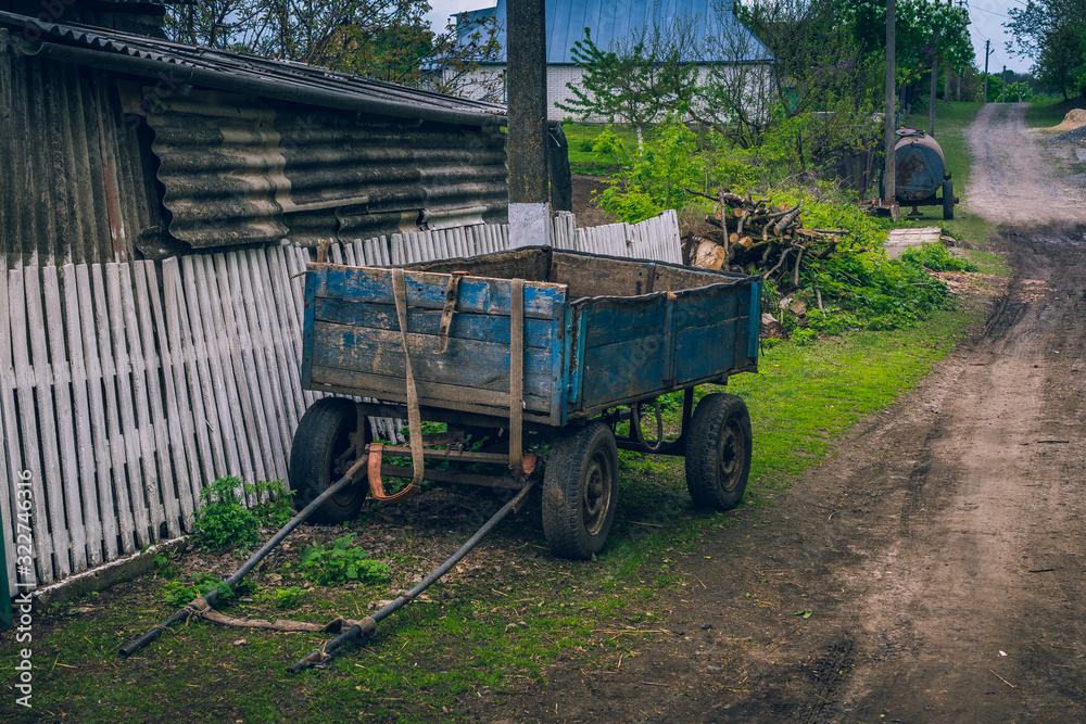 Obraz premium Nature beauty