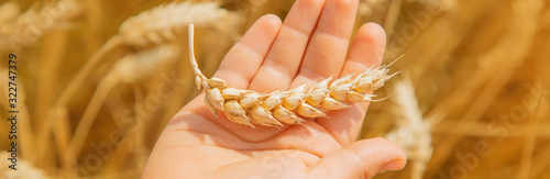 Φωτογραφία A child in a wheat field. Selective focus.