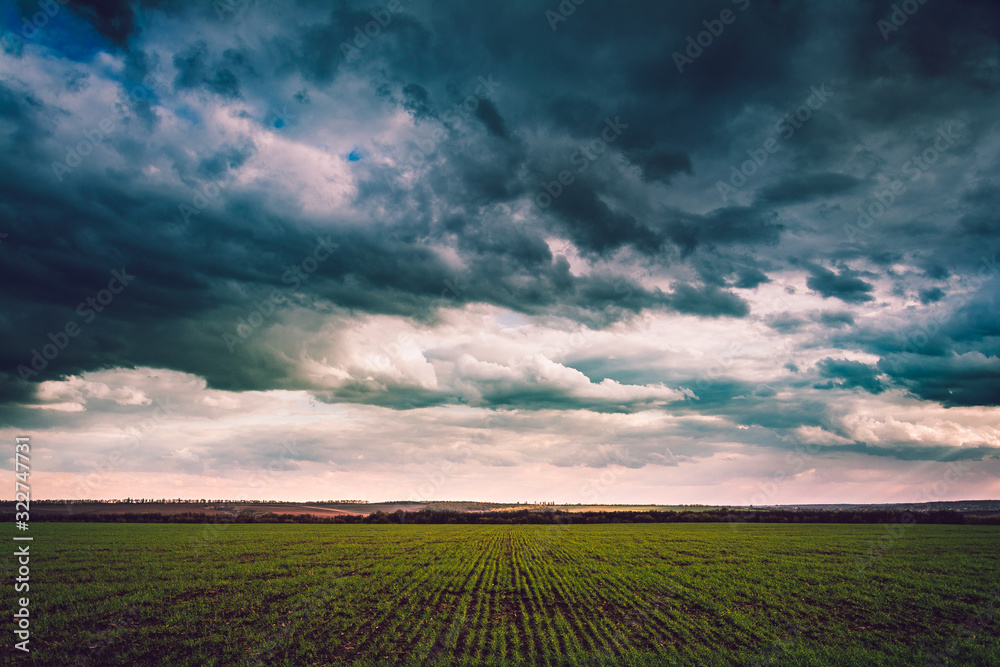 Fields landscape in summer sunset and sunrise Fields landscape in summer sunset and sunrise
