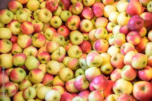 Fototapeta Naklejka Na Ścianę i Meble -  Large pile of apples, freshly produced, with red and yellow skin