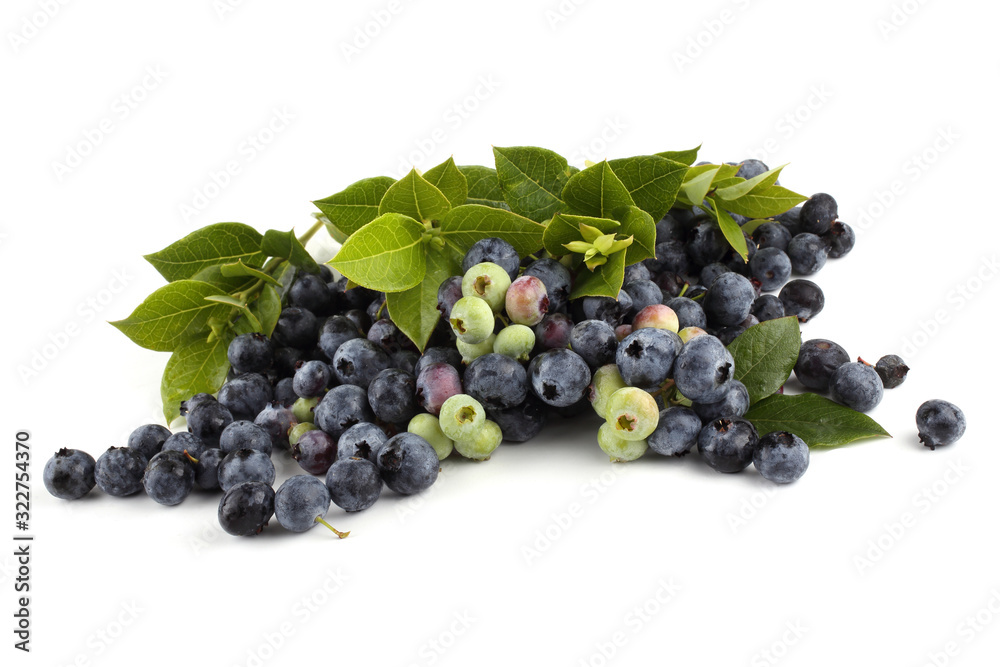Blueberries isolated on white. Fresh organic berries