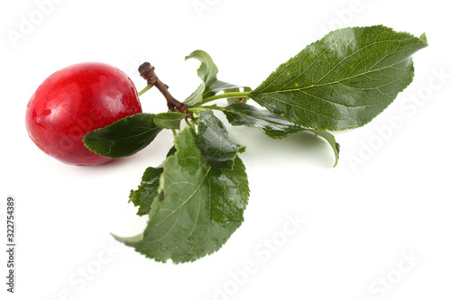 Red plum with leaves isolated on white