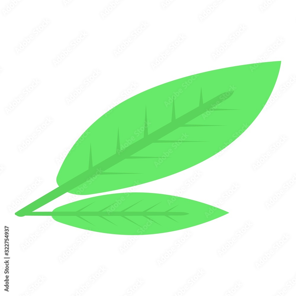 Peach leaf icon. Isometric of peach leaf vector icon for web design isolated on white background Peach leaf icon. Isometric of peach leaf vector icon for web design isolated on white background