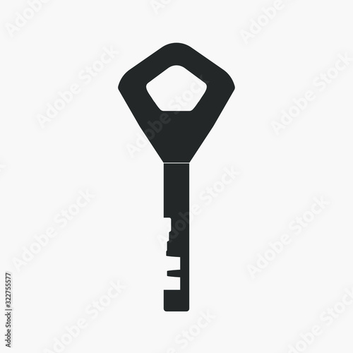 Vector Key icon on white ba...