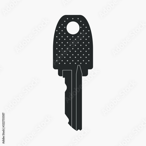 Vector Key icon on white ba...
