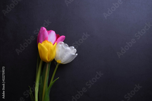 A beautiful bright bouquet of multi-colored tulips in close-up against a dark gray stucco wall.