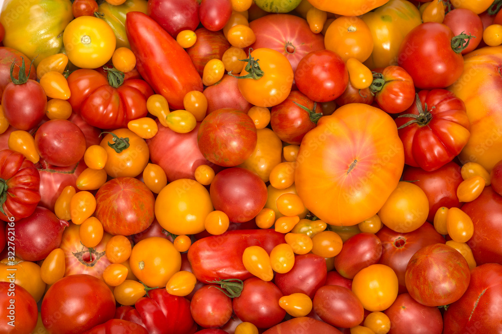 natural diversity of tomatoes – sustainably grown – healthy planet
