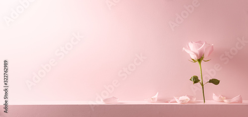 Fototapeta Naklejka Na Ścianę i Meble -  Pink rose petals set on pastel pink background