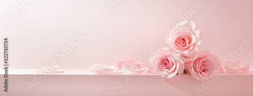 Pink rose petals set on pastel pink background