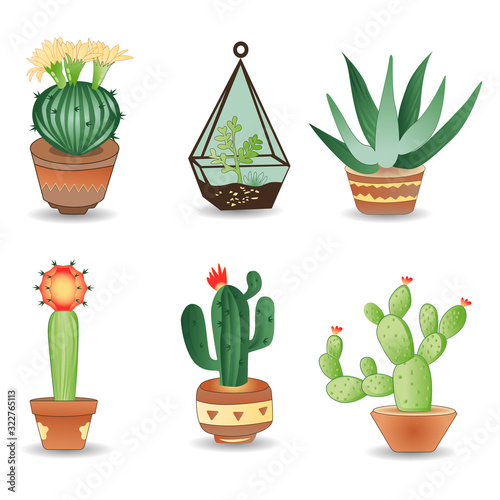 Vector set of cactus and succulents set.Cute green cactus in flower.Vector illustration eps10.