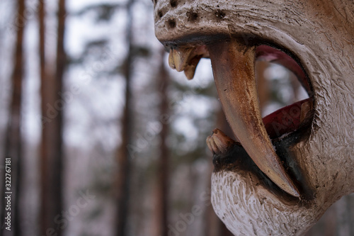 Photos Face of a predatory beast  in profile