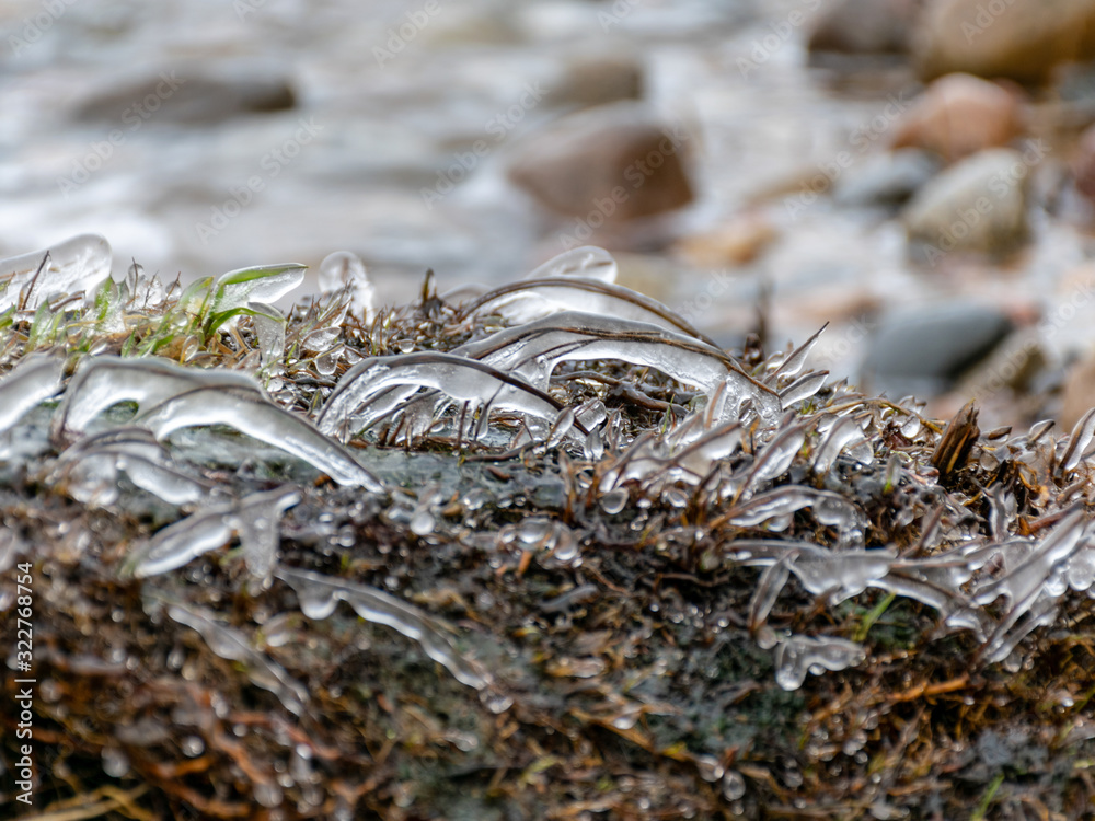 fragments of frozen seaweed ice texture fragments of frozen seaweed ice texture
