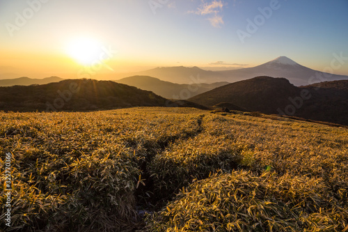 The valley and view on Mountain Fuji at sunset