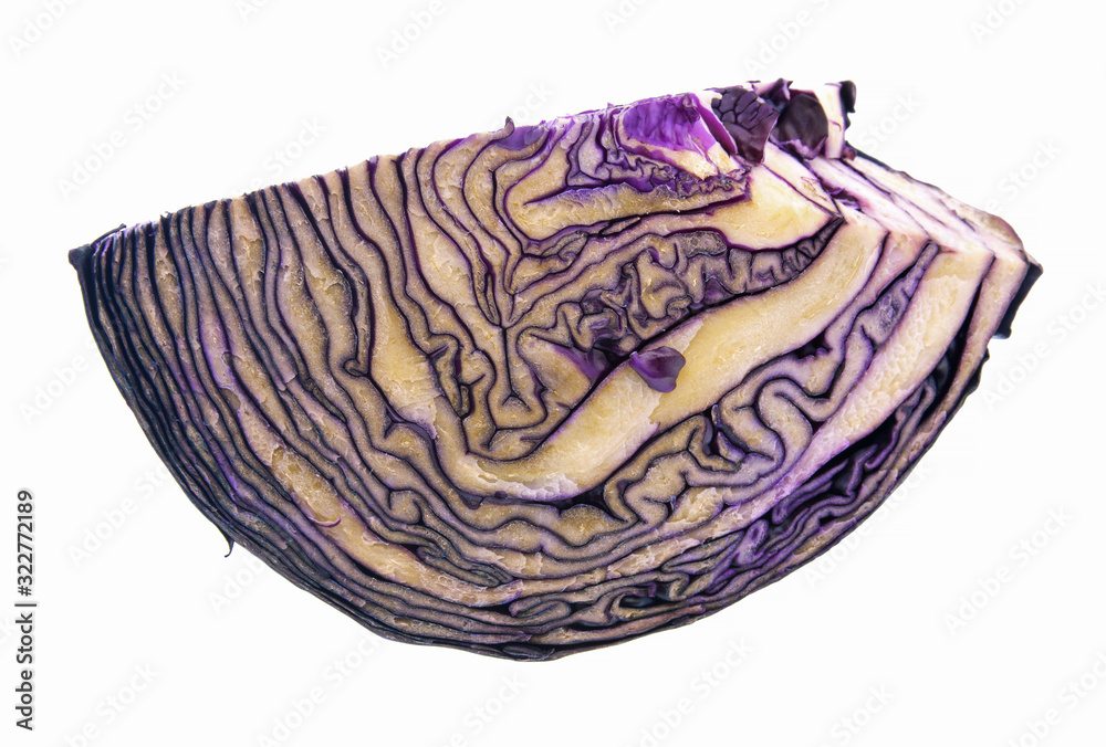 Fototapeta premium red cabbage on white background