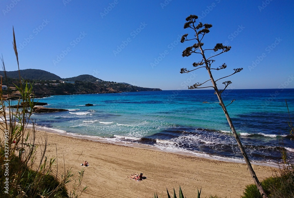 Beach in Ibiza