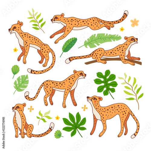 Set of wild cats. Vector cartoon exotic leopards
