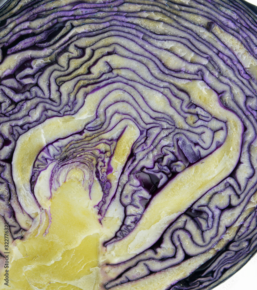 Obraz premium red cabbage on white background