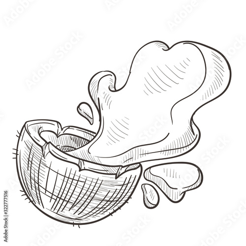 Coconut water splashing from cut open palm fruit hand drawing