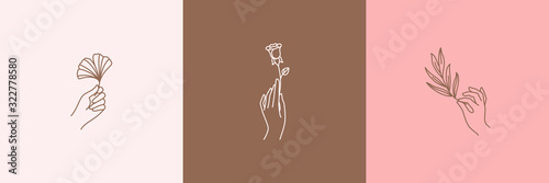 Logos of women's hands in a minimal linear style. Vector emblems with hand gestures holding a rose, Ginkgo leaf, olive